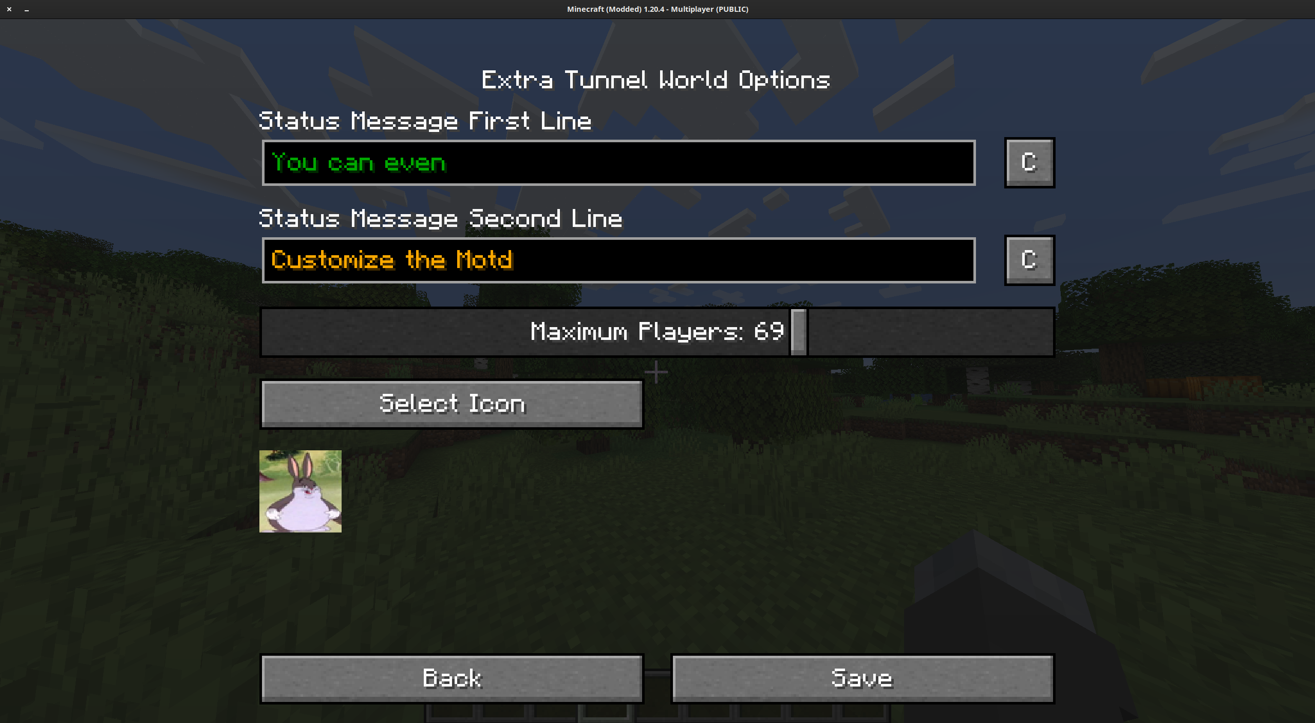 Screenshot of Tunnel Worlds Motd settings