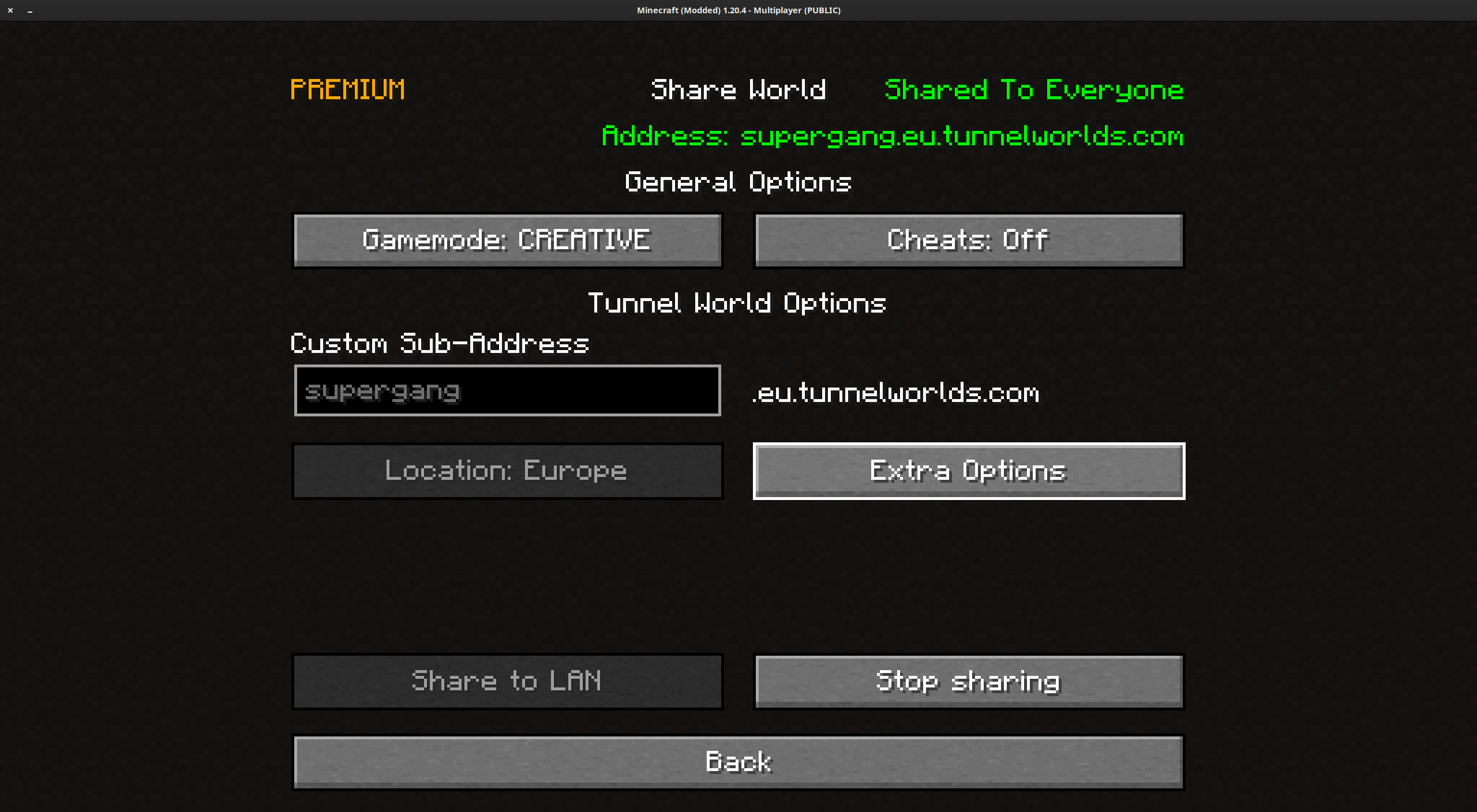 Screenshot of Tunnel Worlds settings while connected